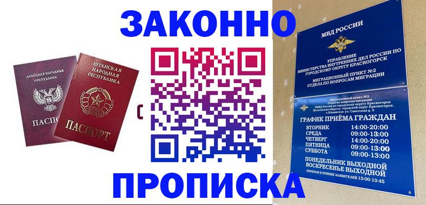 прописка в Жукове